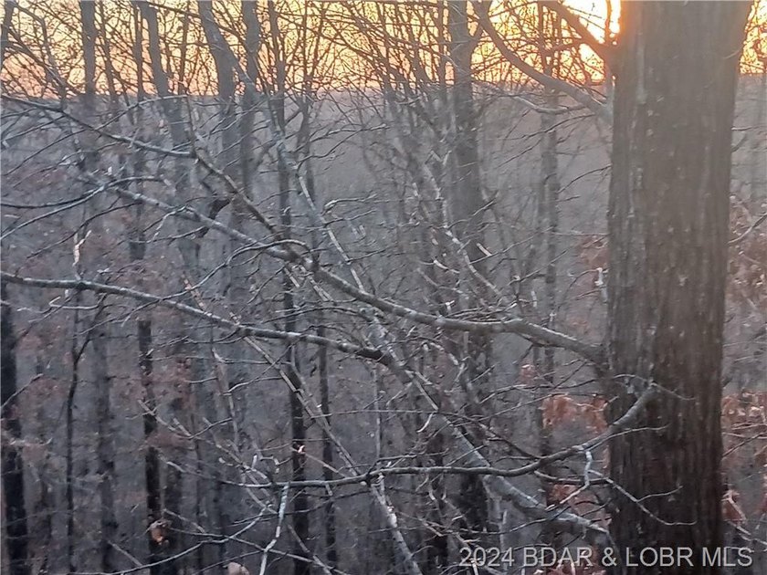 Are you searching for a small tract of non-restricted wooded - photo 2