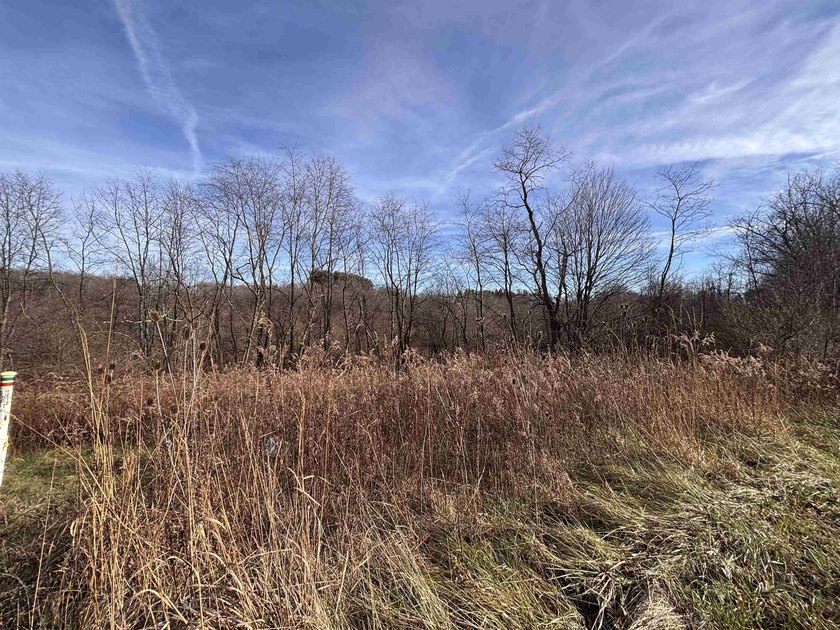 An exceptional opportunity to own a highly versatile 20-acre - photo 3