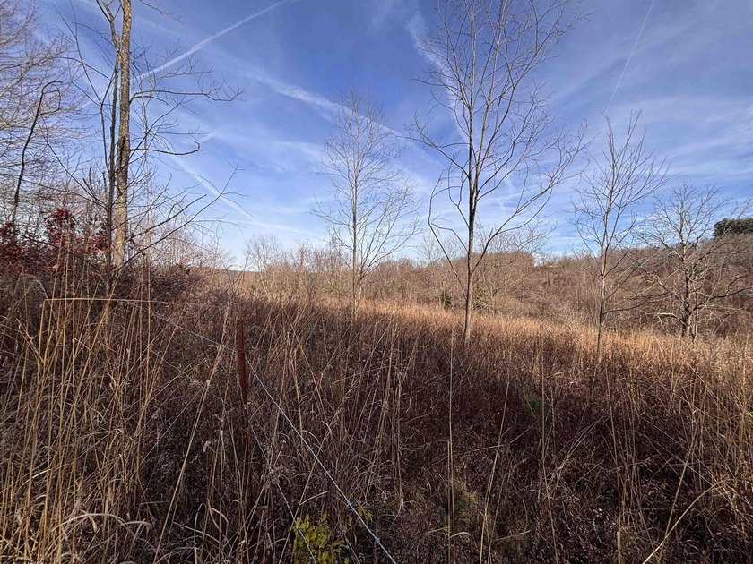 An exceptional opportunity to own a highly versatile 20-acre - photo 5