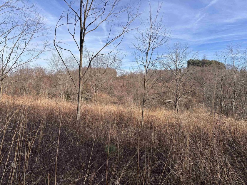 An exceptional opportunity to own a highly versatile 20-acre - photo 6