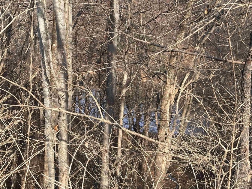An exceptional opportunity to own a highly versatile 20-acre - photo 7