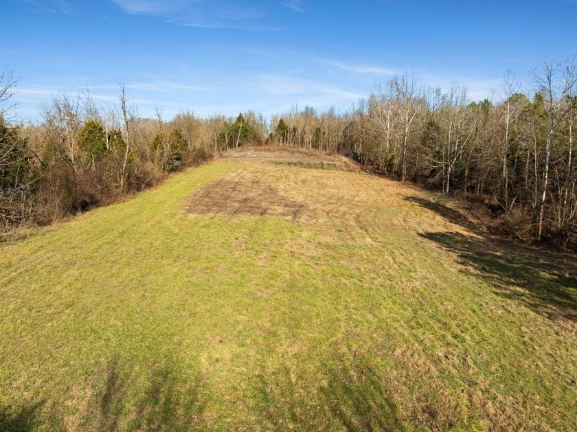 LOOKING FOR LAND? Here's your chance to own 5 BEAUTIFUL ACRES - photo 4