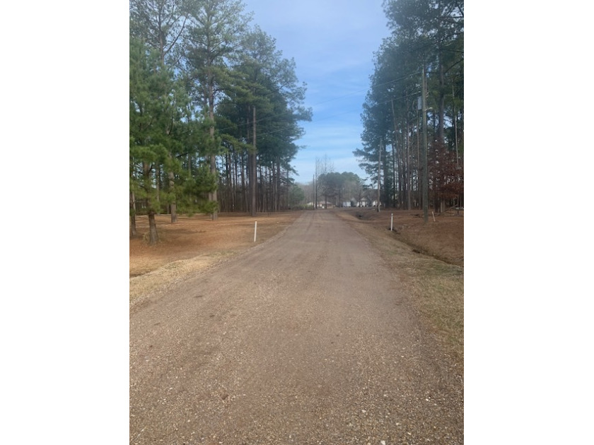 Ideal Lot For Nature Lovers- REDUCED! SOLD - photo 7
