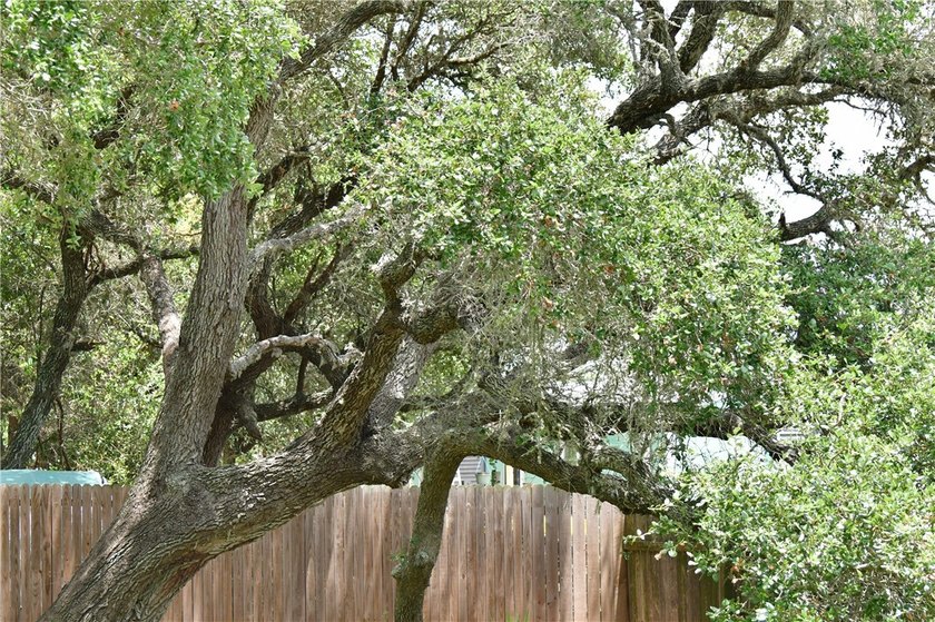 Conveniently located in Rockport, Texas minutes away from Little - photo 7