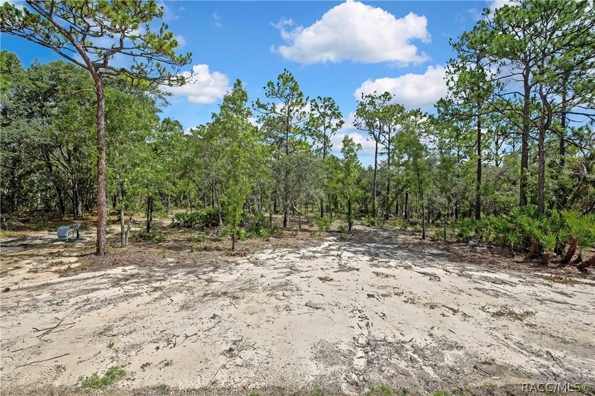 Welcome home to this brand-new 2026 home, perfectly situated on - photo 45