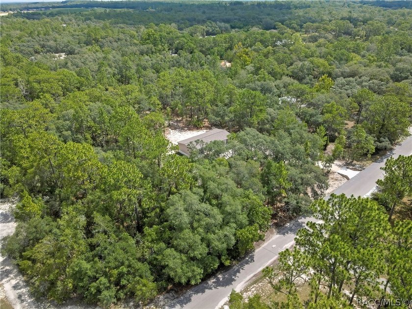 Welcome home to this brand-new 2026 home, perfectly situated on - photo 49
