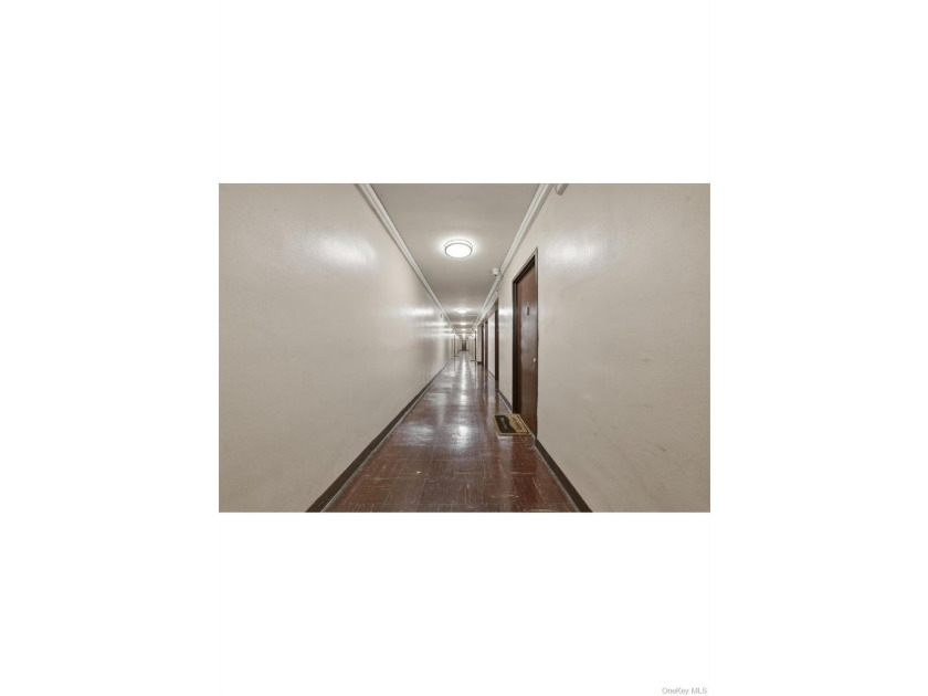 Welcome to 825 Morrison Ave, a beautifully renovated two-bedroom - photo 5