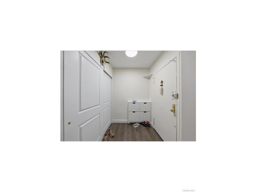 Welcome to 825 Morrison Ave, a beautifully renovated two-bedroom - photo 6