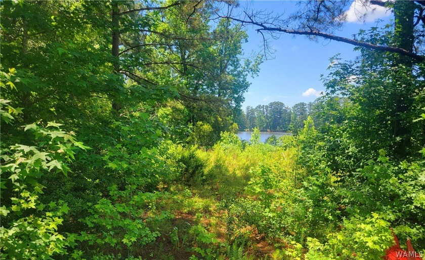 Build your dream home on this wooded lot on Lake Tuscaloosa - photo 5