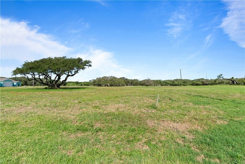 Prime, corner homesite with Majestic Oak - Minutes from Downtown - photo 3