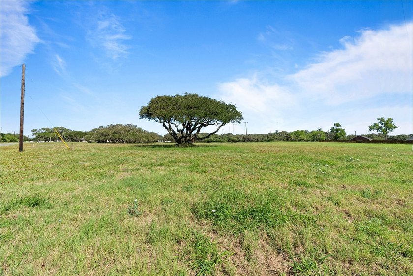 Prime, corner homesite with Majestic Oak - Minutes from Downtown - photo 4