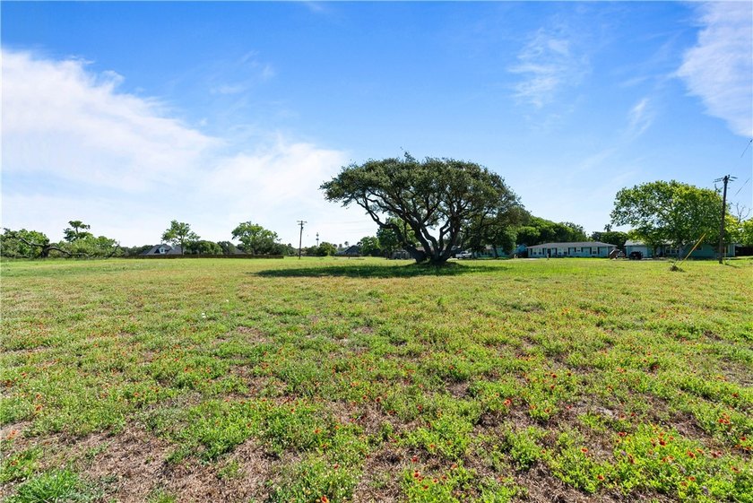 Prime, corner homesite with Majestic Oak - Minutes from Downtown - photo 5