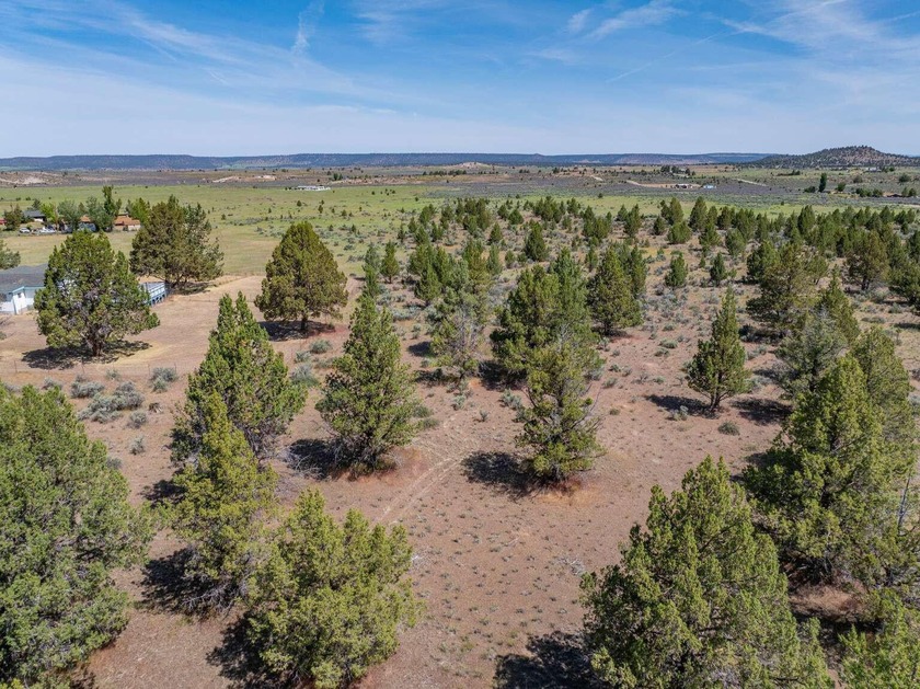 Terms Available ! Very rarely does a lot with water, sewer, and - photo 14
