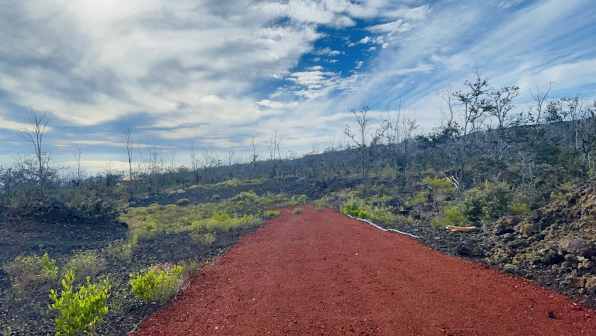 Live on-site while you build your dream home on this 1acre lot - photo 22