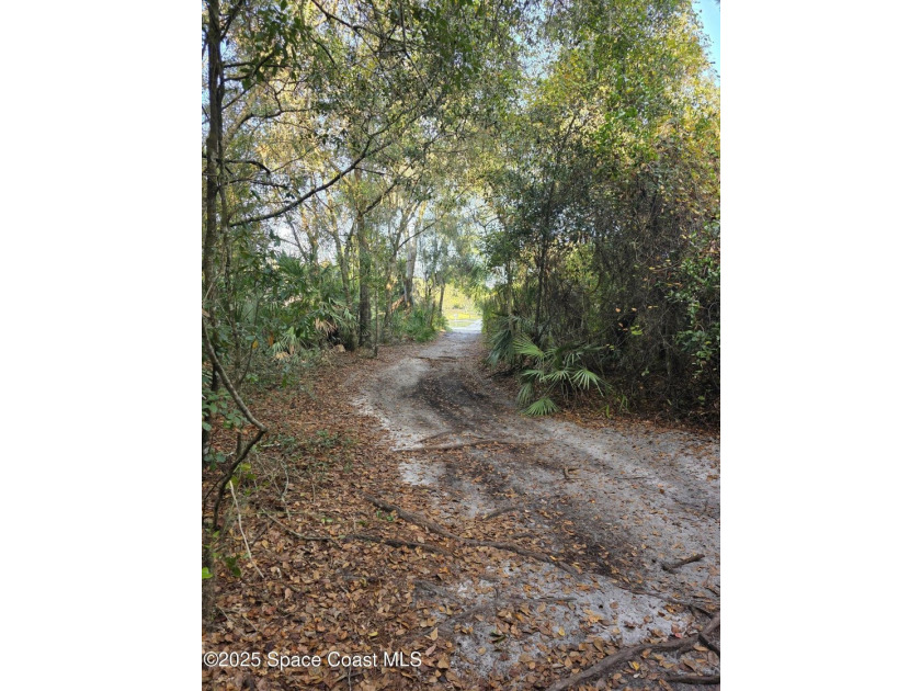 Discover a rare 52.39+/- acre development opportunity with a - photo 8