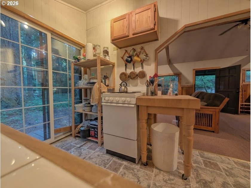 Built in 1930 and tucked among towering firs in the Mt. Hood - photo 20
