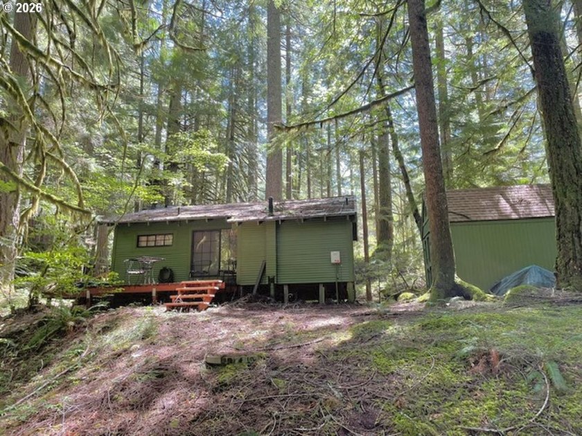 Built in 1930 and tucked among towering firs in the Mt. Hood - photo 28