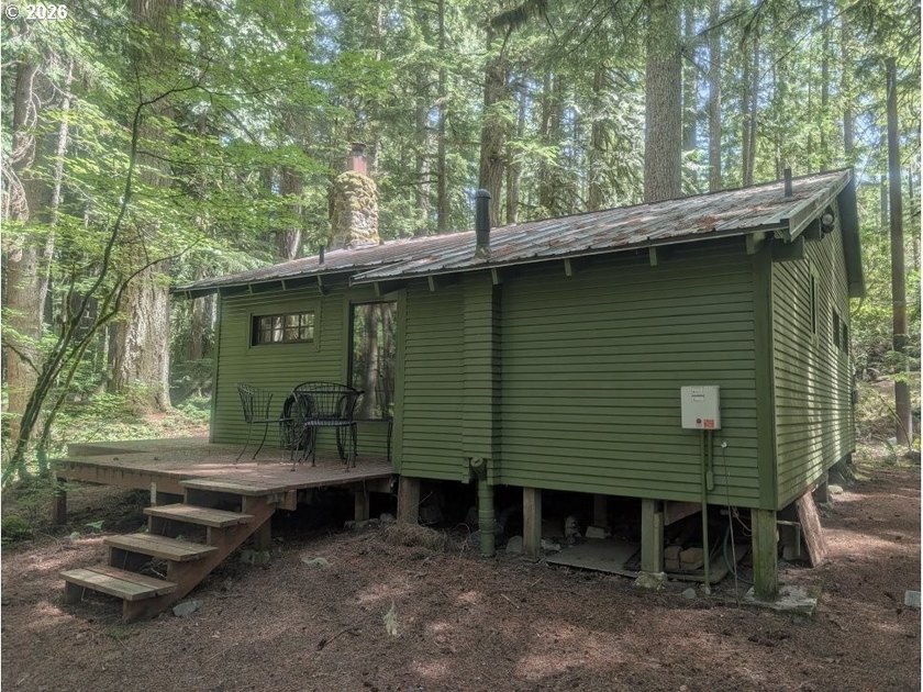 Built in 1930 and tucked among towering firs in the Mt. Hood - photo 30