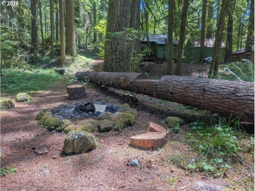 Built in 1930 and tucked among towering firs in the Mt. Hood - photo 34