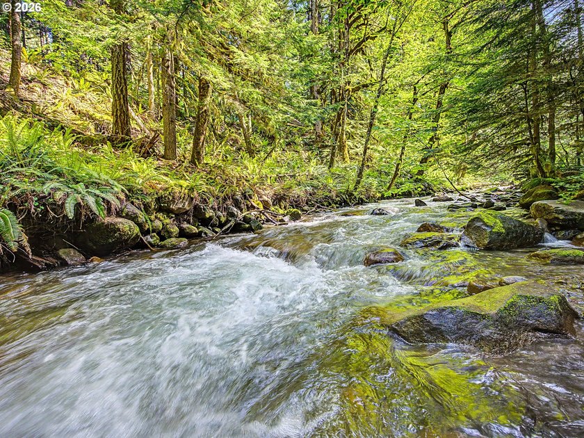 Built in 1930 and tucked among towering firs in the Mt. Hood - photo 35