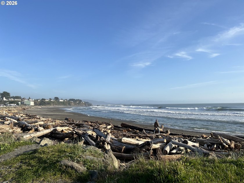 Wake Up to Sunrises, Wildlife, and Coastal Living! Lovely - photo 44