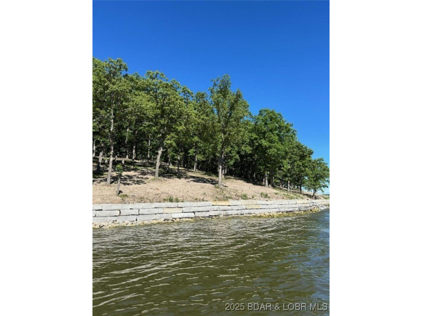 **Exquisite Lakefront Lot at Lake of the Ozarks - A - photo 15