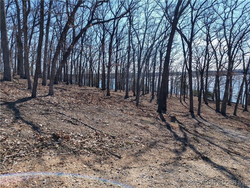 **Exquisite Lakefront Lot at Lake of the Ozarks - A - photo 31