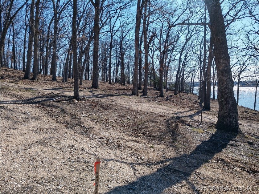 **Exquisite Lakefront Lot at Lake of the Ozarks - A - photo 34