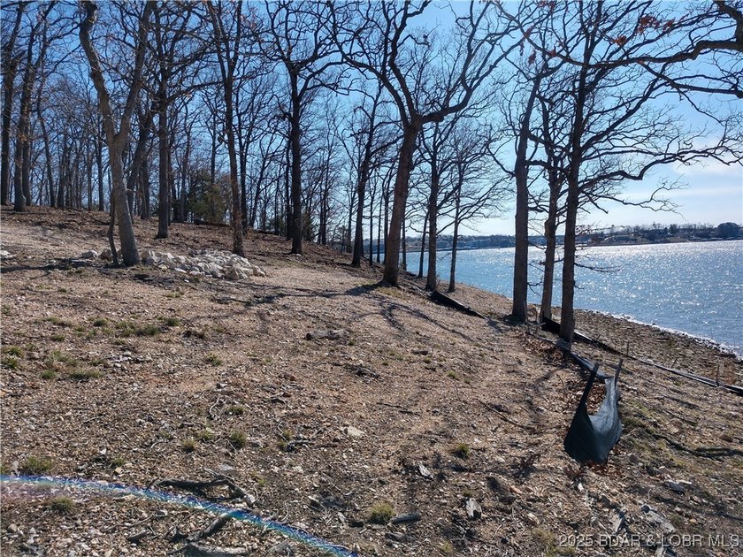 **Exquisite Lakefront Lot at Lake of the Ozarks - A - photo 36