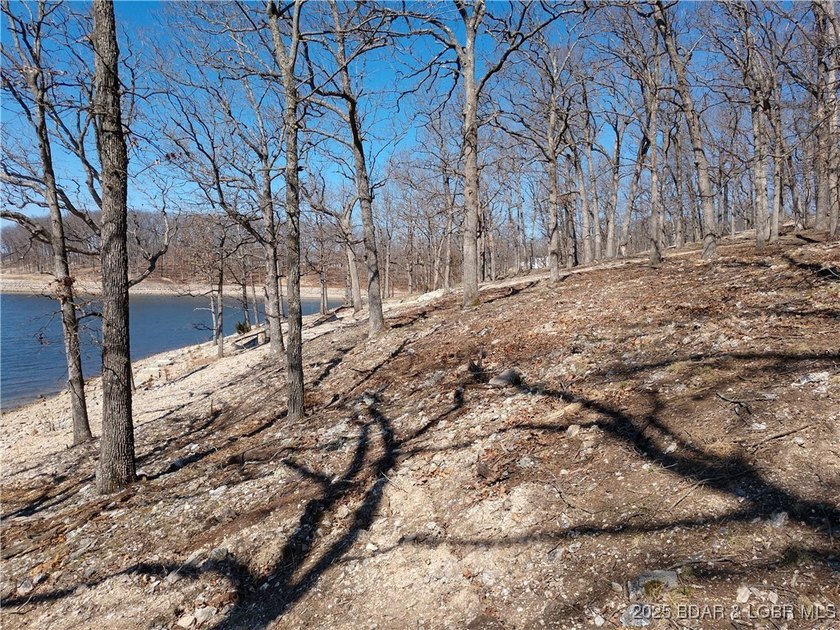 **Exquisite Lakefront Lot at Lake of the Ozarks - A - photo 37