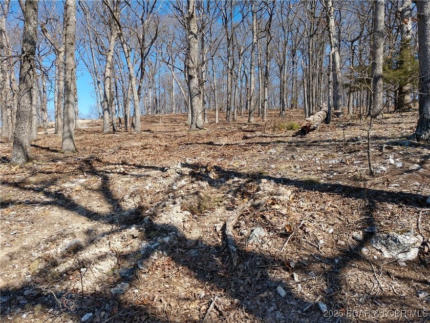 **Exquisite Lakefront Lot at Lake of the Ozarks - A - photo 38