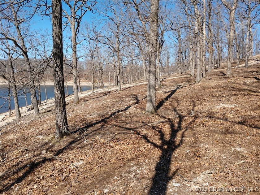 **Exquisite Lakefront Lot at Lake of the Ozarks - A - photo 40