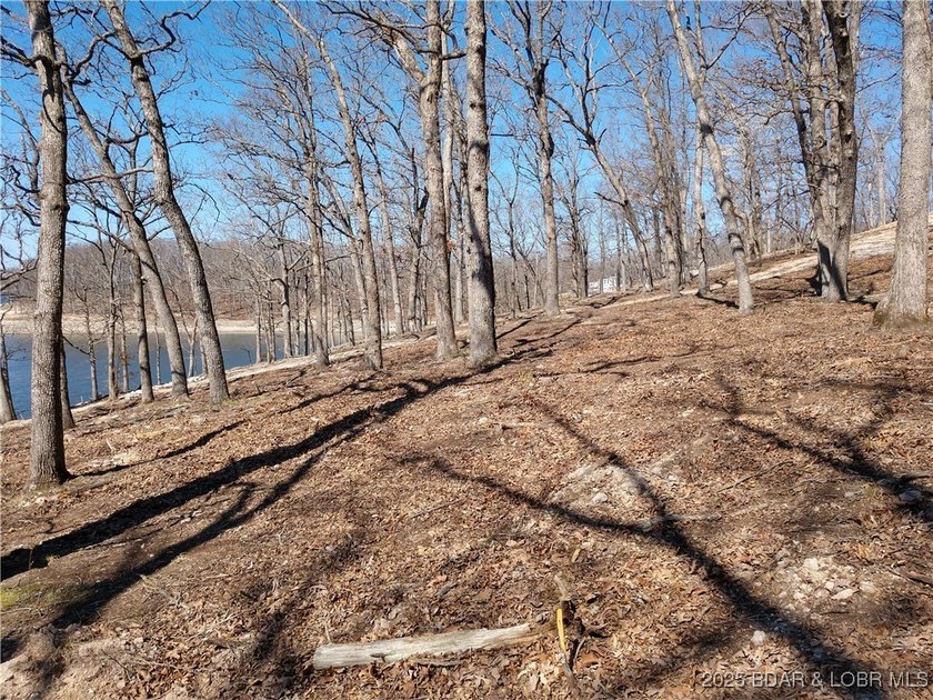 **Exquisite Lakefront Lot at Lake of the Ozarks - A - photo 44