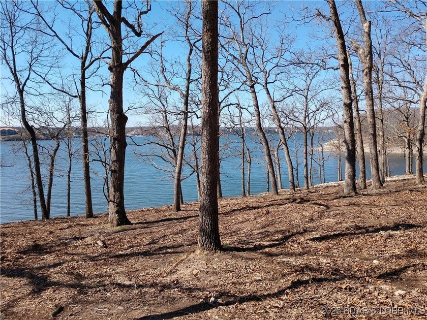 **Exquisite Lakefront Lot at Lake of the Ozarks - A - photo 45