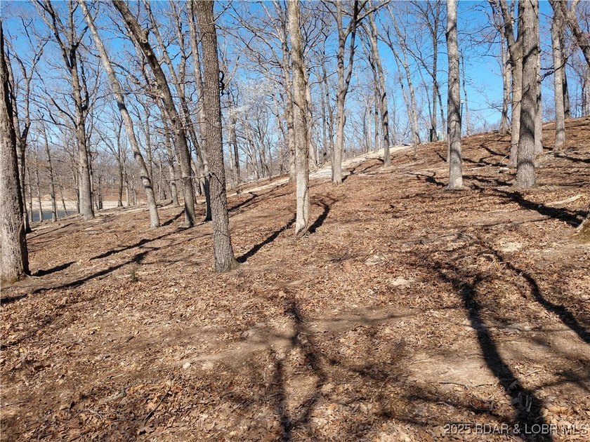 **Exquisite Lakefront Lot at Lake of the Ozarks - A - photo 46