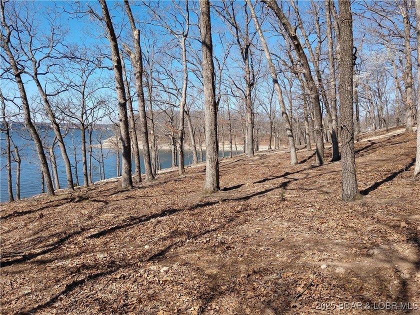 **Exquisite Lakefront Lot at Lake of the Ozarks - A - photo 47