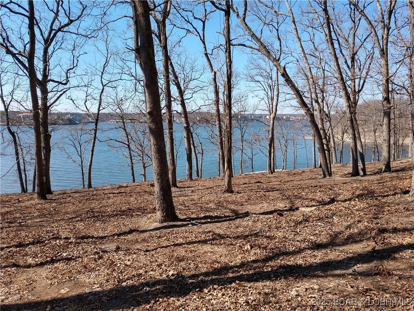 **Exquisite Lakefront Lot at Lake of the Ozarks - A - photo 48
