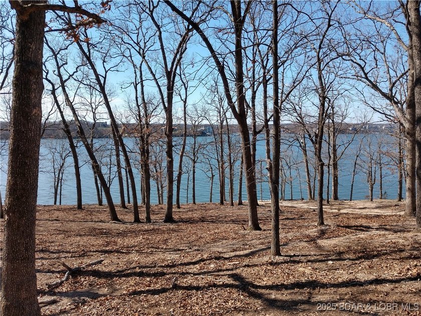 **Exquisite Lakefront Lot at Lake of the Ozarks - A - photo 50