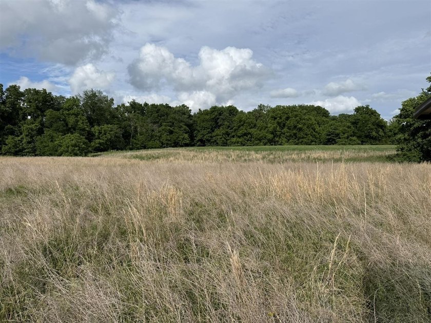 20+/- acres of private Nolin Lakefront property on Roseburg Road - photo 2