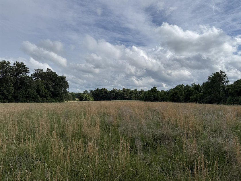 20+/- acres of private Nolin Lakefront property on Roseburg Road - photo 5