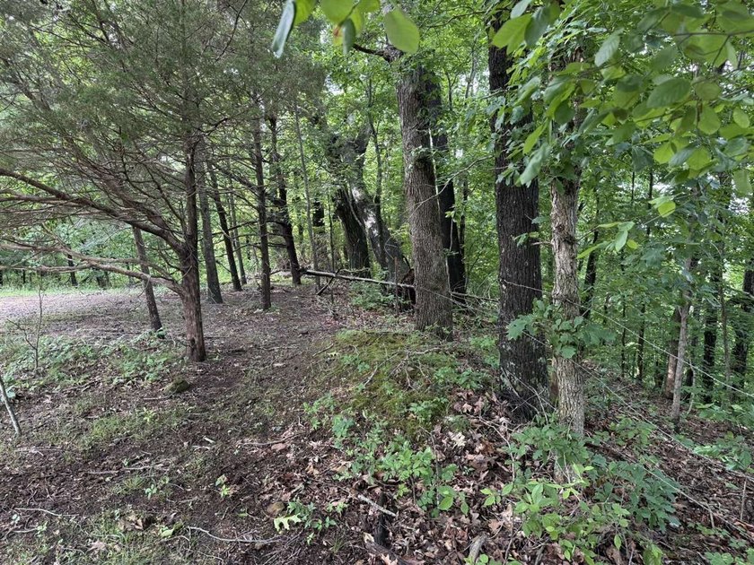 20+/- acres of private Nolin Lakefront property on Roseburg Road - photo 6