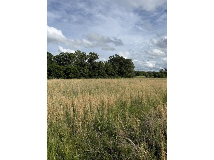20+/- acres of private Nolin Lakefront property on Roseburg Road - photo 9