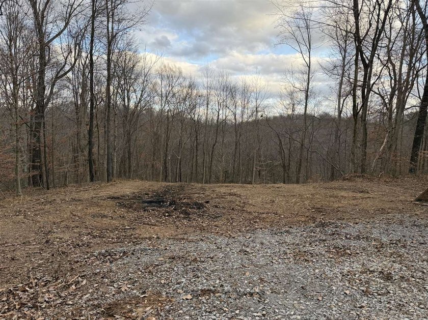 Nice lake lot that borders the red line - photo 2