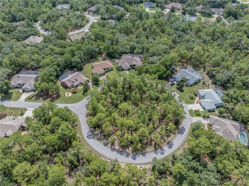 WELL APPOINTED AND BEAUTIFULLY MAINTAINED 3/2/2 POOL HOME on .32 - photo 46