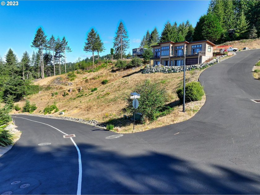 Imagine this corner lot with its beautiful views and your custom - photo 6