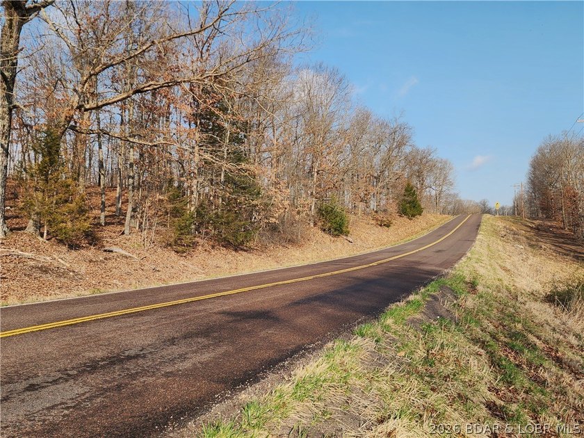 This scenic property features high ridges with incredible views - photo 13