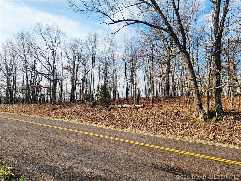 This scenic property features high ridges with incredible views - photo 14