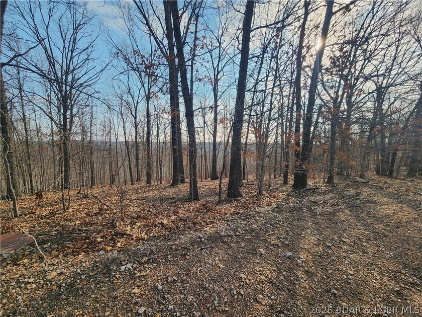 This scenic property features high ridges with incredible views - photo 15