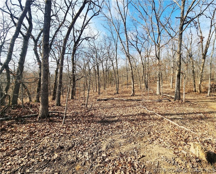 This scenic property features high ridges with incredible views - photo 17