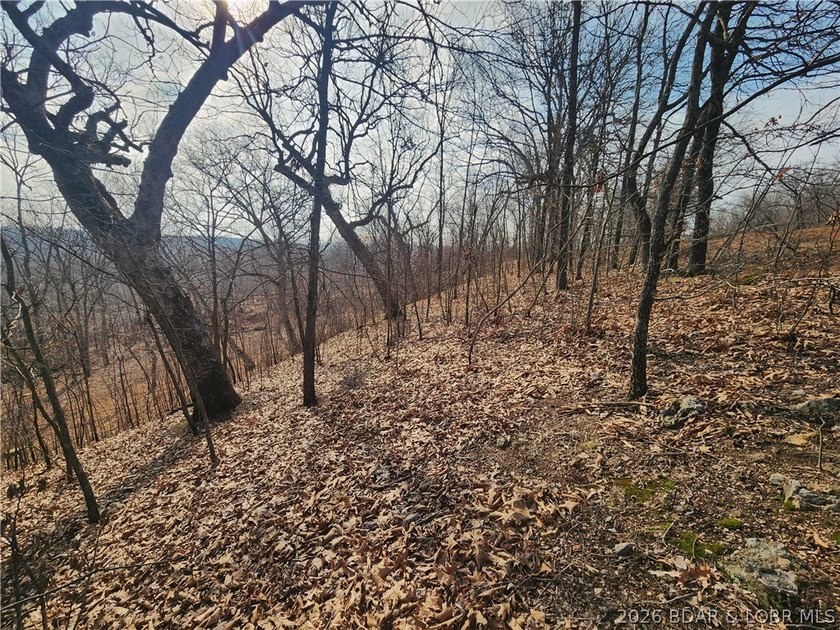 This scenic property features high ridges with incredible views - photo 18